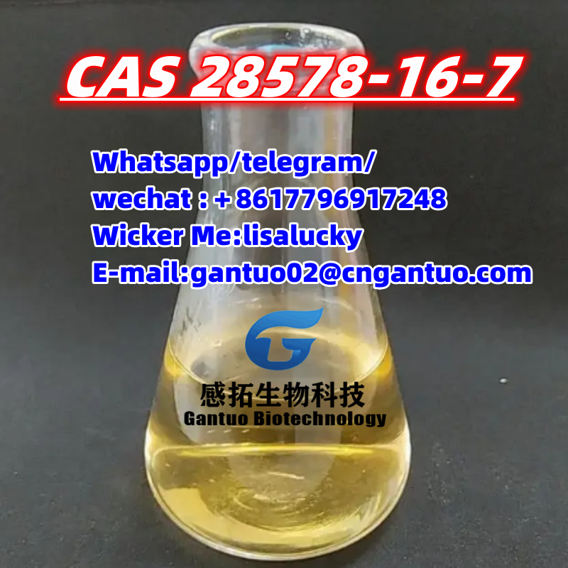 Hot sell  CAS 119276-01-6 CAS 28578-16-7 PMK ethyl glycidate
